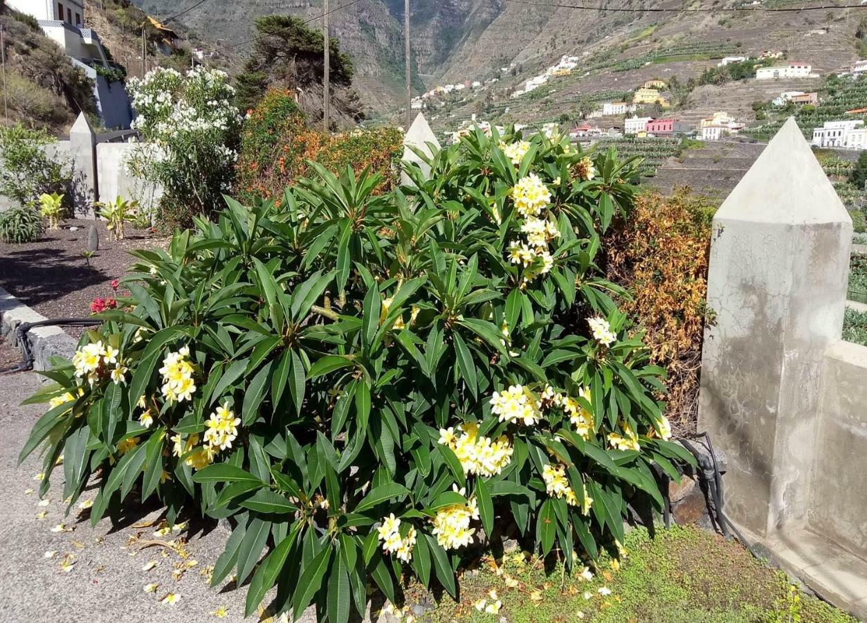 Gomera Garden. Vista Mar Altozano Hermigua Extérieur photo